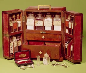 Skrzynia medyczna od Dinneford Family Chemist (mahoń)